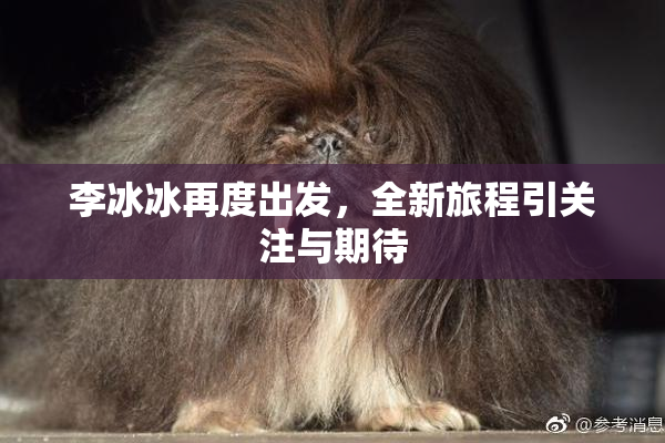 李冰冰再度出发，全新旅程引关注与期待