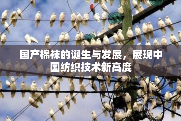 国产棉袜的诞生与发展，展现中国纺织技术新高度