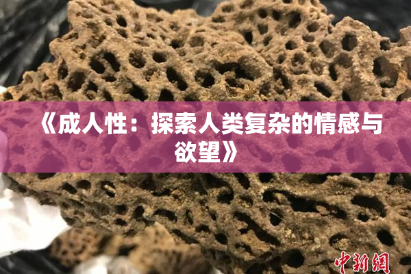 《成人性：探索人类复杂的情感与欲望》