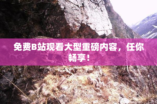 免费B站观看大型重磅内容，任你畅享！