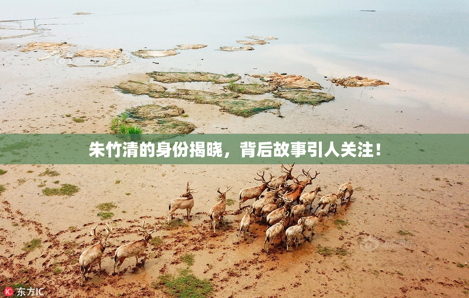 朱竹清的身份揭晓，背后故事引人关注！
