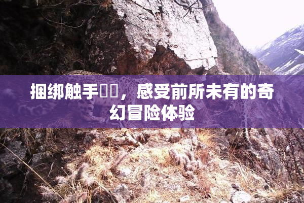 捆绑触手❌‌，感受前所未有的奇幻冒险体验