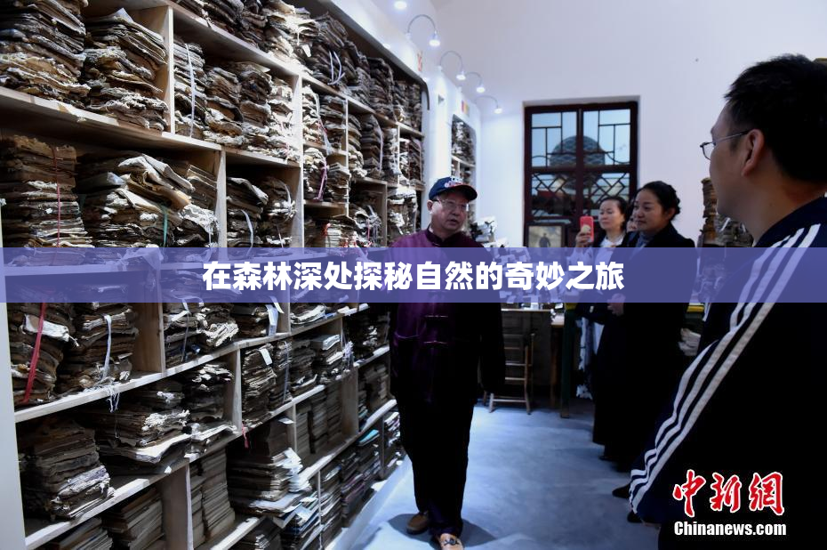 在森林深处探秘自然的奇妙之旅