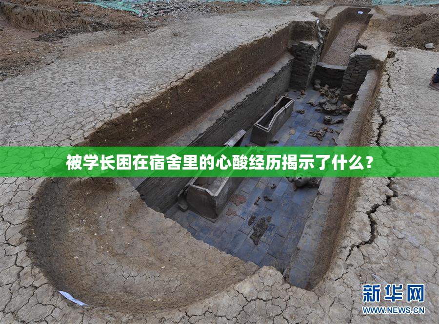 被学长困在宿舍里的心酸经历揭示了什么？