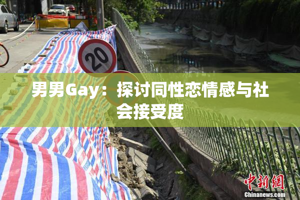 男男Gay：探讨同性恋情感与社会接受度