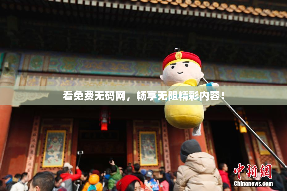 看免费无码网，畅享无阻精彩内容！