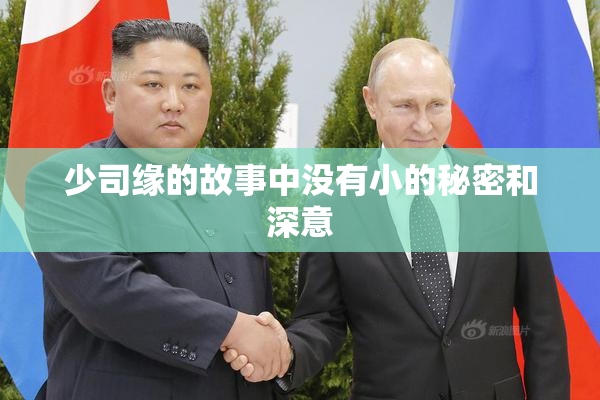 少司缘的故事中没有小的秘密和深意