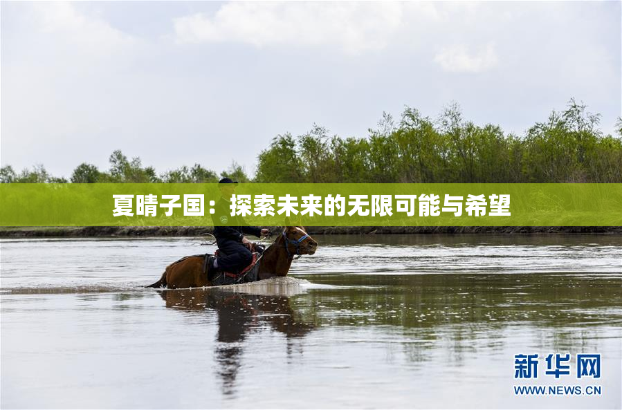 夏晴子国：探索未来的无限可能与希望
