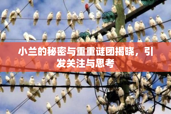 小兰的秘密与重重谜团揭晓，引发关注与思考