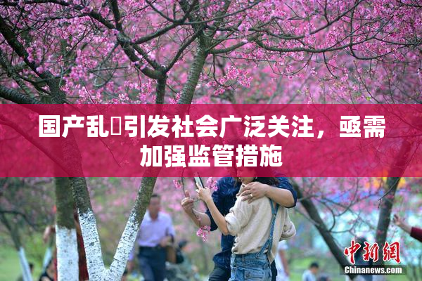 国产乱婬引发社会广泛关注，亟需加强监管措施