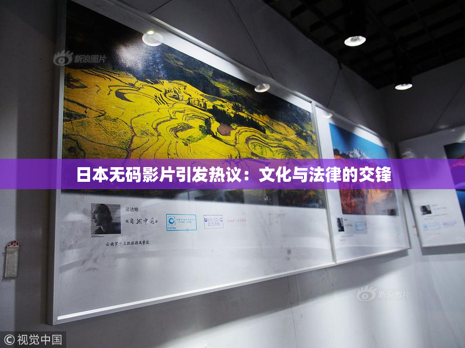 日本无码影片引发热议：文化与法律的交锋