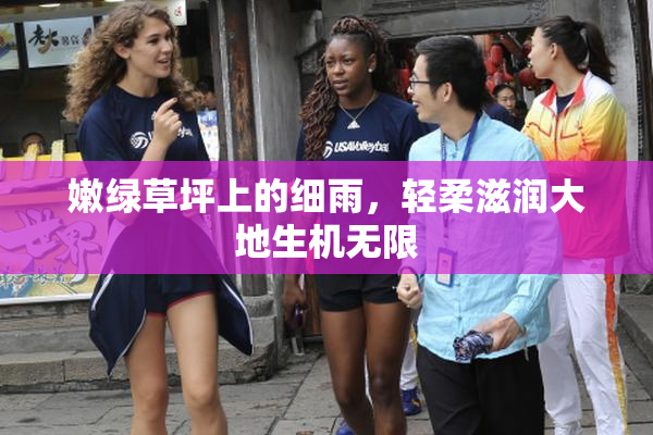 嫩绿草坪上的细雨，轻柔滋润大地生机无限