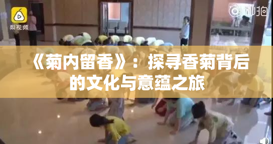 《菊内留香》：探寻香菊背后的文化与意蕴之旅