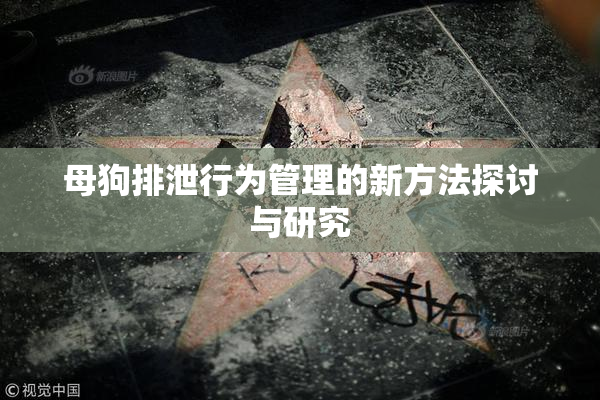 母狗排泄行为管理的新方法探讨与研究