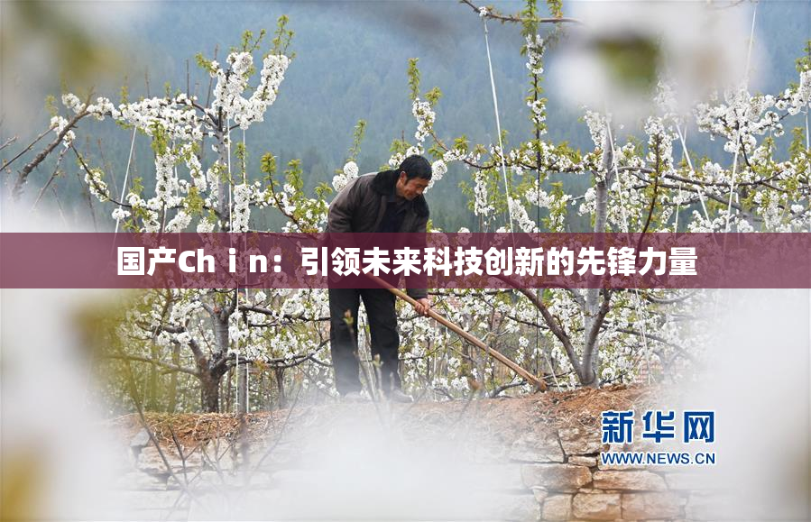 国产Chⅰn：引领未来科技创新的先锋力量