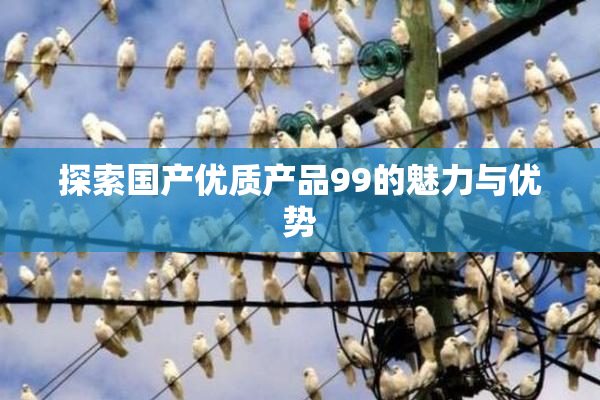 探索国产优质产品99的魅力与优势