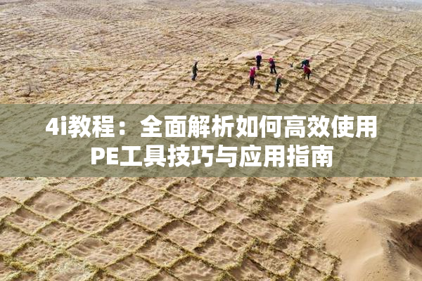 4i教程：全面解析如何高效使用PE工具技巧与应用指南