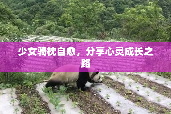 少女骑枕自愈，分享心灵成长之路