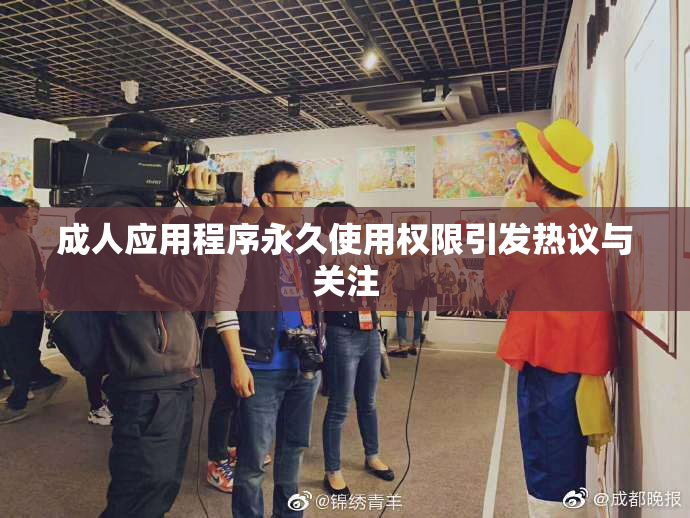 成人应用程序永久使用权限引发热议与关注