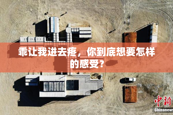 乖让我进去疼，你到底想要怎样的感受？