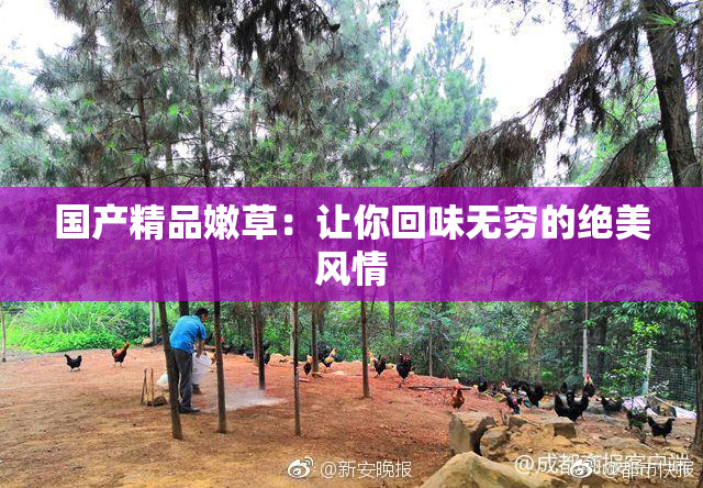 国产精品嫩草：让你回味无穷的绝美风情