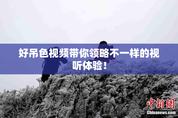 好吊色视频带你领略不一样的视听体验！