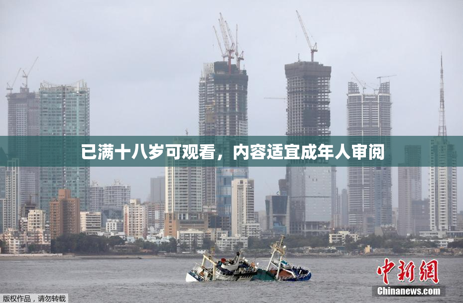 已满十八岁可观看，内容适宜成年人审阅