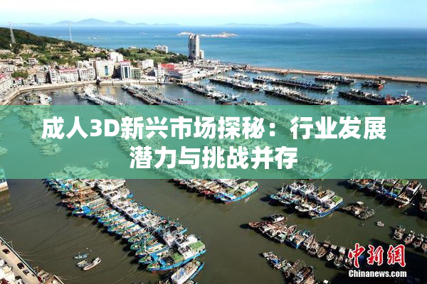 成人3D新兴市场探秘：行业发展潜力与挑战并存