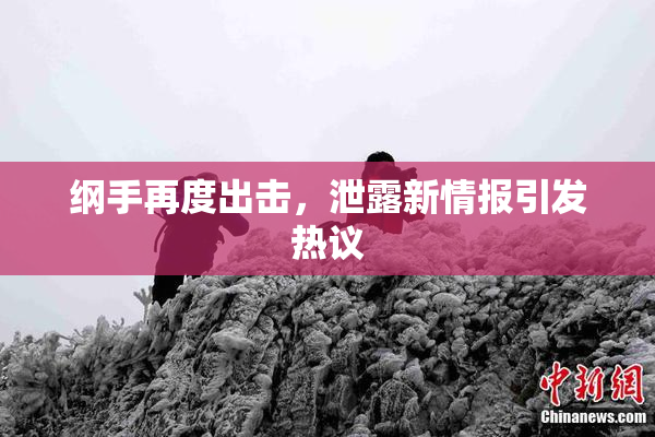 纲手再度出击，泄露新情报引发热议