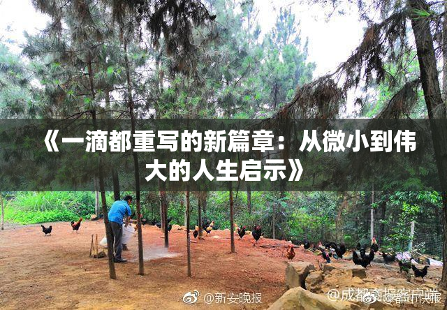 《一滴都重写的新篇章：从微小到伟大的人生启示》