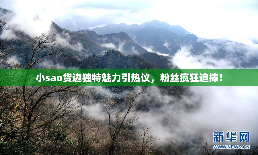 小sao货边独特魅力引热议，粉丝疯狂追捧！