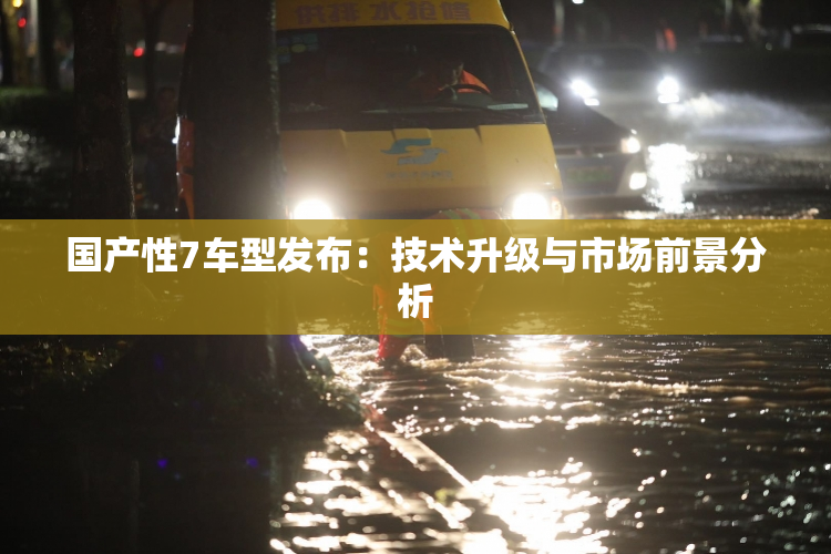 国产性7车型发布：技术升级与市场前景分析