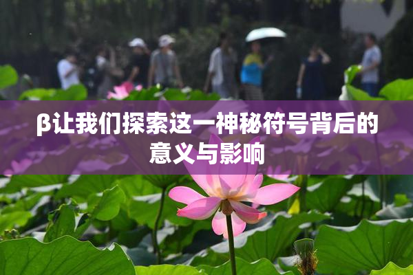 β让我们探索这一神秘符号背后的意义与影响