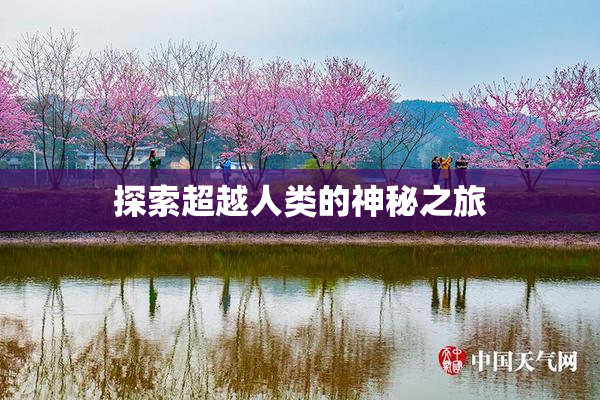 探索超越人类的神秘之旅