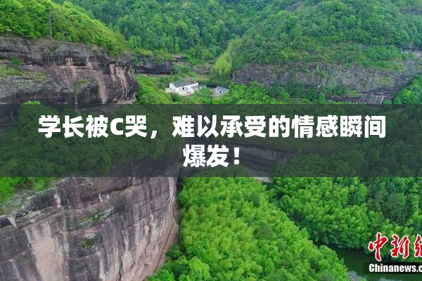 学长被C哭，难以承受的情感瞬间爆发！