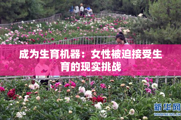 成为生育机器：女性被迫接受生育的现实挑战