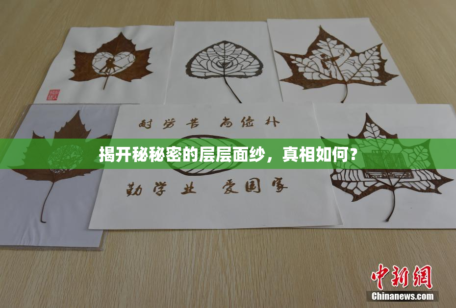 揭开秘秘密的层层面纱，真相如何？