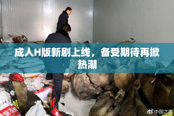 成人H版新剧上线，备受期待再掀热潮