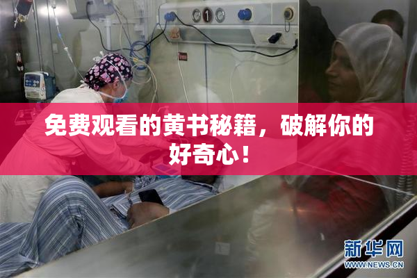 免费观看的黄书秘籍，破解你的好奇心！