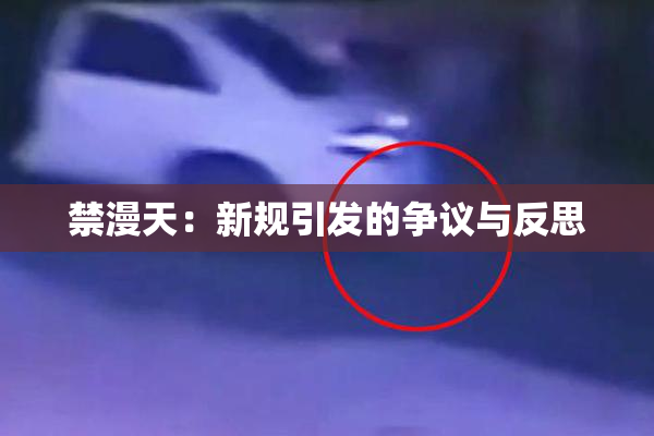 禁漫天：新规引发的争议与反思