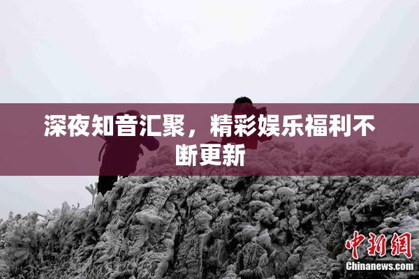 深夜知音汇聚，精彩娱乐福利不断更新