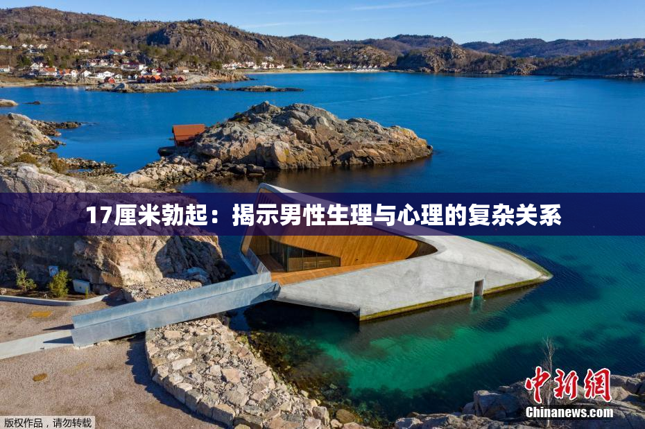 17厘米勃起：揭示男性生理与心理的复杂关系