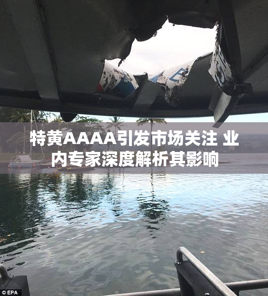 特黄AAAA引发市场关注 业内专家深度解析其影响