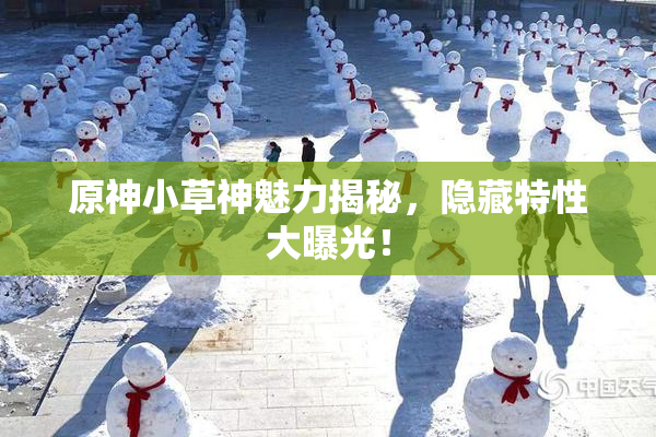 原神小草神魅力揭秘，隐藏特性大曝光！
