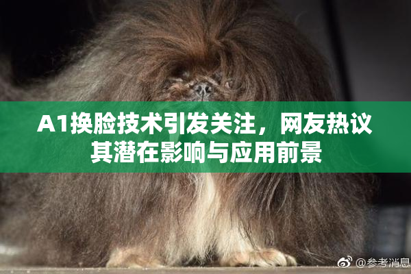 A1换脸技术引发关注，网友热议其潜在影响与应用前景