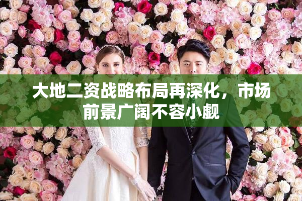 大地二资战略布局再深化，市场前景广阔不容小觑