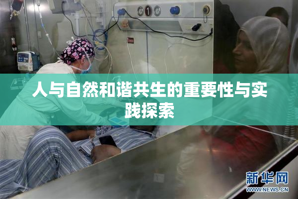 人与自然和谐共生的重要性与实践探索