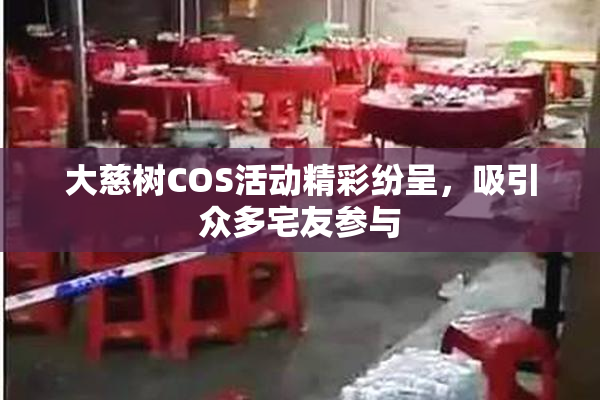 大慈树COS活动精彩纷呈，吸引众多宅友参与