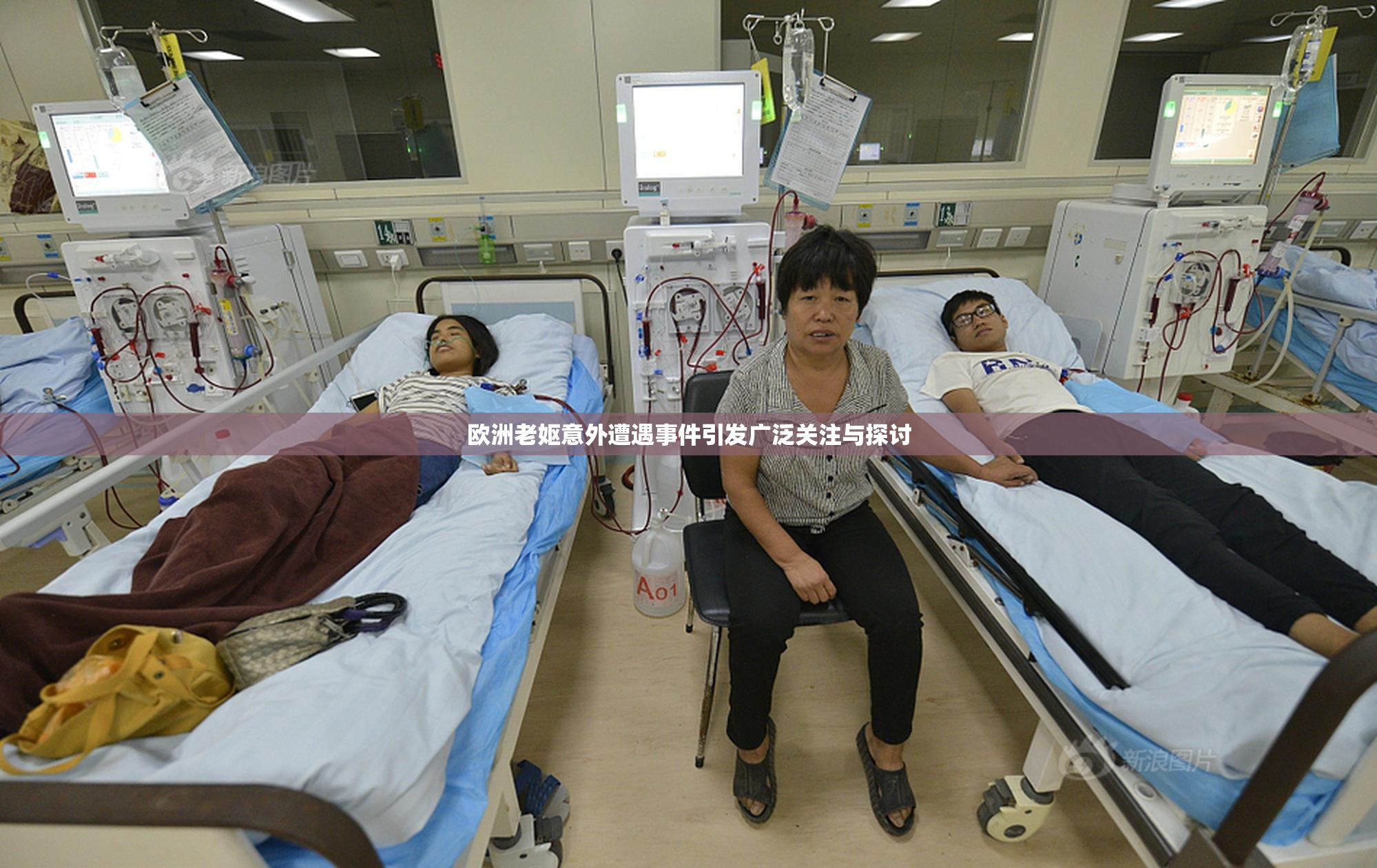 欧洲老妪意外遭遇事件引发广泛关注与探讨