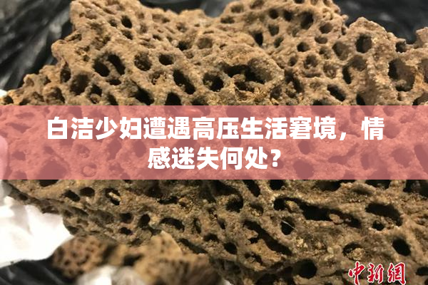 白洁少妇遭遇高压生活窘境，情感迷失何处？